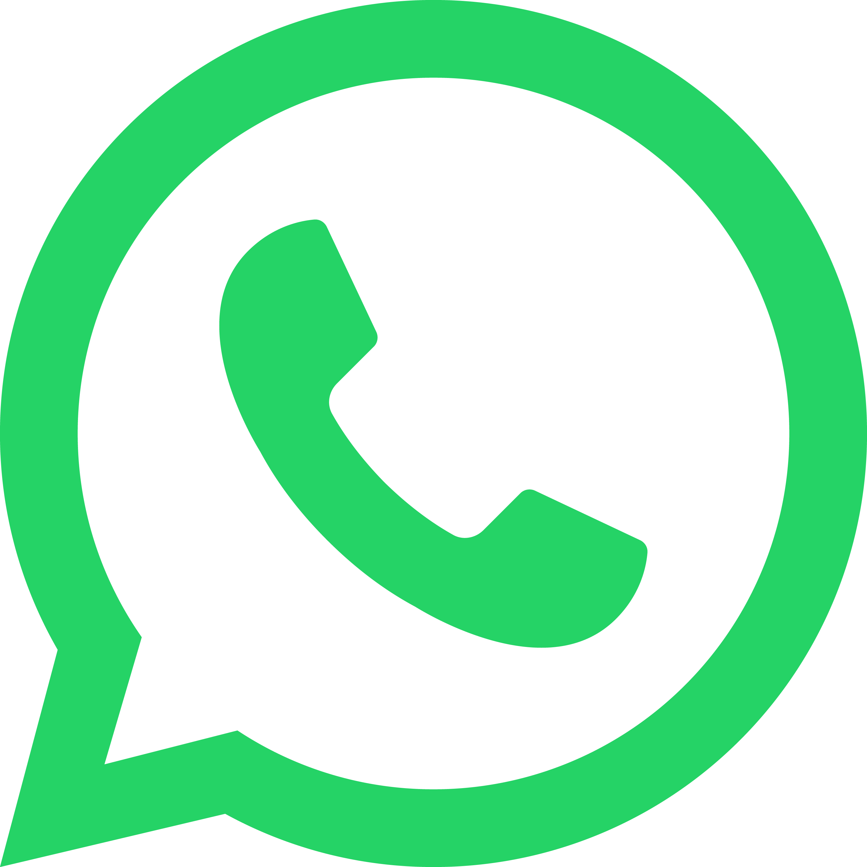 WhatsApp Logo